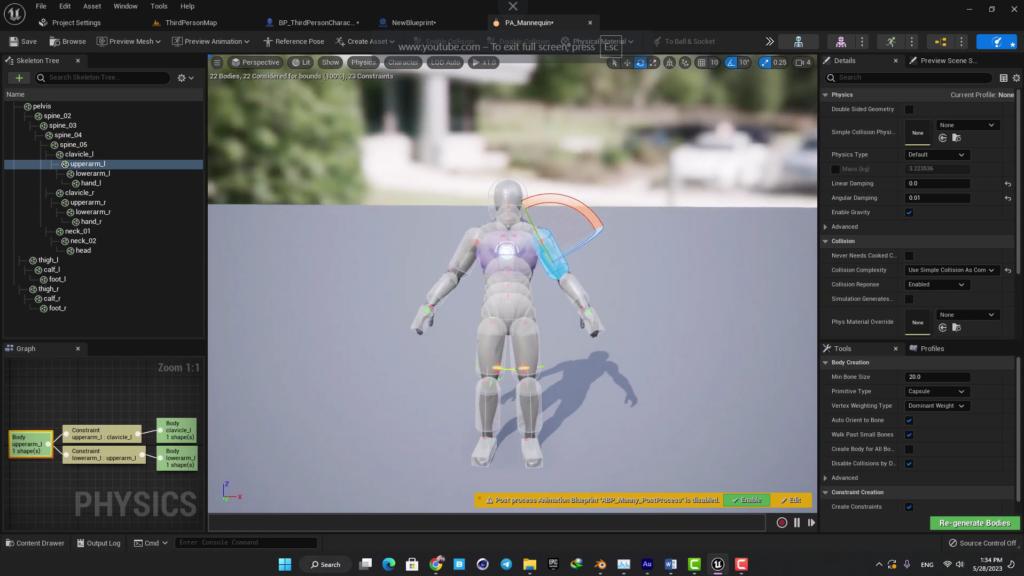 Understand the Physics Asset Behind Your Character